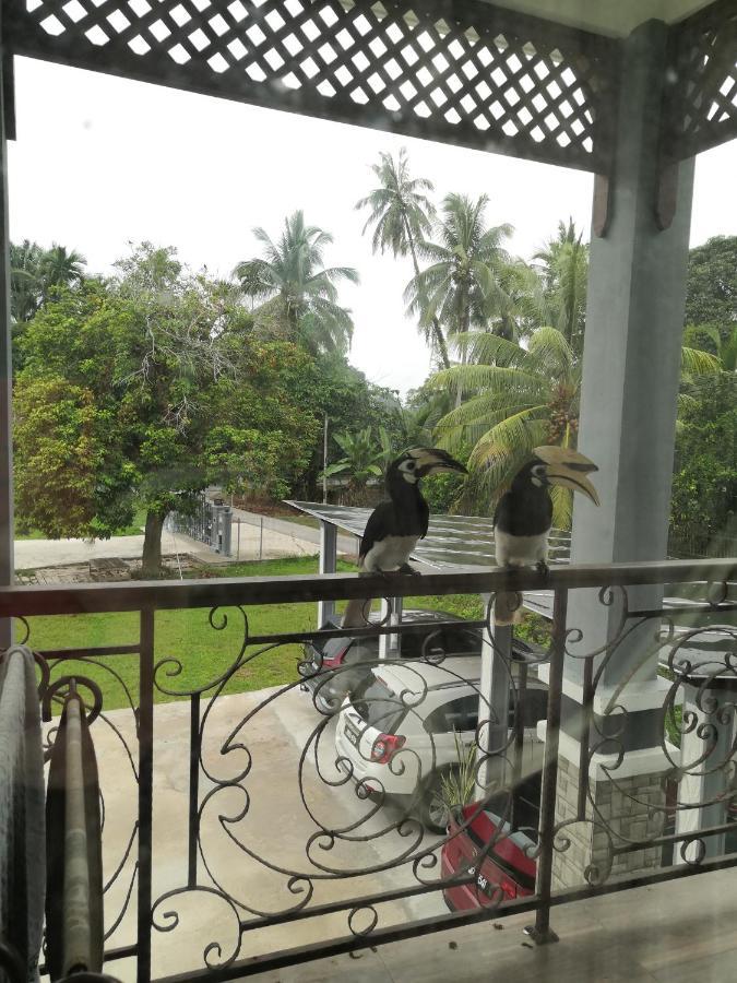 Darney'S Homestay Kg Bangau Tanjung Темерлох Экстерьер фото